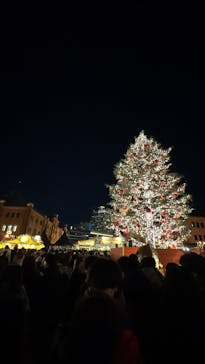 Christmas Market in 横浜赤レンガ倉庫 2025に投稿された画像（2024/12/23）