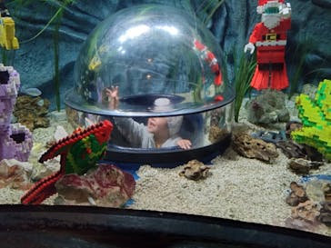 レゴランドⓇ・ジャパン・リゾートに投稿された画像（2024/12/23）