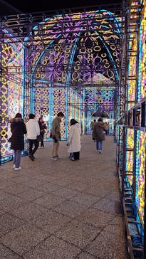 神戸イルミナージュに投稿された画像（2024/12/23）