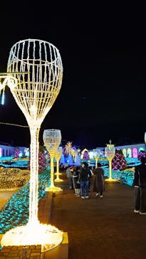 神戸イルミナージュに投稿された画像（2024/12/23）