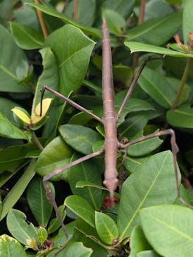 おきなわワールドに投稿された画像（2024/12/23）