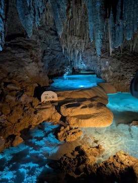 おきなわワールドに投稿された画像（2024/12/23）