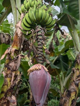 おきなわワールドに投稿された画像（2024/12/23）