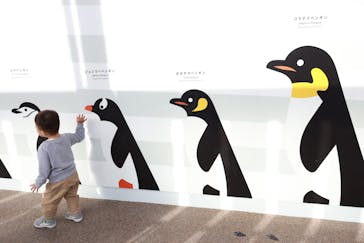 京都鉄道博物館_運転シミュレーターに投稿された画像（2024/12/23）