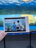 サンシャイン水族館に投稿された画像（2024/12/23）