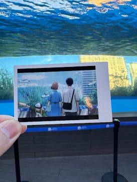 サンシャイン水族館に投稿された画像（2024/12/23）