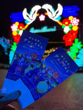 伊豆高原グランイルミに投稿された画像（2024/12/23）