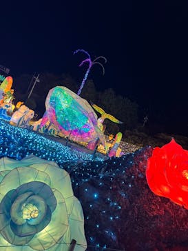 伊豆高原グランイルミに投稿された画像（2024/12/23）