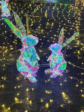 伊豆高原グランイルミに投稿された画像（2024/12/23）