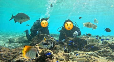 青の洞窟専門店　沖縄ダイビングショップ和に投稿された画像（2024/12/23）