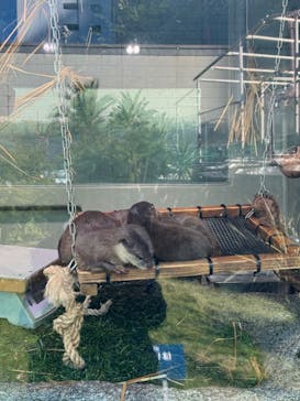 サンシャイン水族館に投稿された画像（2024/12/23）