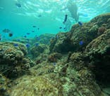 沖縄マリンサービス碧に投稿された画像（2024/12/23）