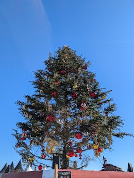 Christmas Market in 横浜赤レンガ倉庫 2025に投稿された画像（2024/12/23）