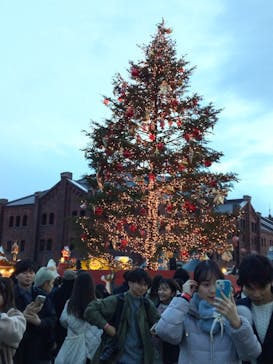 Christmas Market in 横浜赤レンガ倉庫 2025に投稿された画像（2024/12/23）