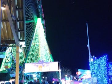 さがみ湖MORI MORIに投稿された画像（2024/12/23）