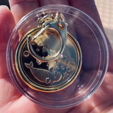 横浜・八景島シーパラダイスに投稿された画像（2024/12/23）