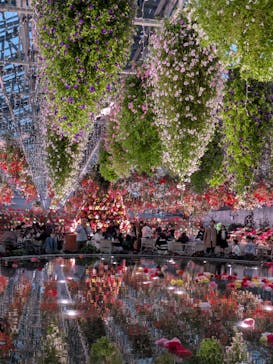 なばなの里に投稿された画像（2024/12/23）