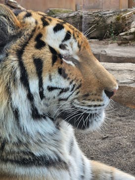 那須どうぶつ王国に投稿された画像（2024/12/23）