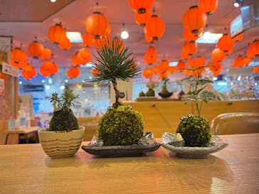 伊勢夫婦岩めおと横丁　めおと岩アクティビティに投稿された画像（2024/12/23）