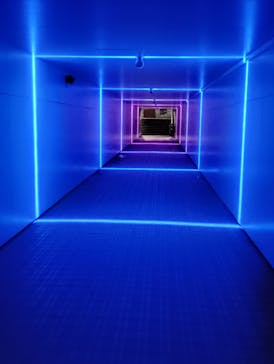 東京メガイルミに投稿された画像（2024/12/23）