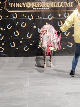 東京メガイルミに投稿された画像（2024/12/23）