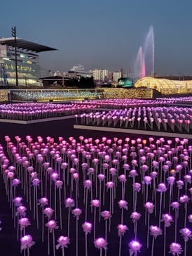 東京メガイルミに投稿された画像（2024/12/23）