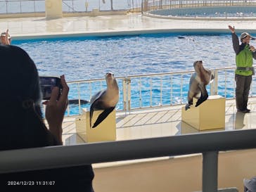 マリンワールド海の中道に投稿された画像（2024/12/23）