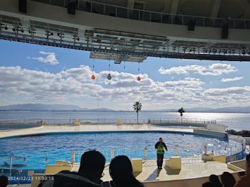マリンワールド海の中道に投稿された画像（2024/12/23）
