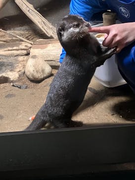 世界淡水魚園水族館　アクア・トトぎふに投稿された画像（2024/12/23）