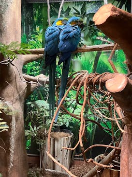 世界淡水魚園水族館　アクア・トトぎふに投稿された画像（2024/12/23）