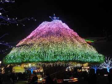 東京メガイルミに投稿された画像（2024/12/23）