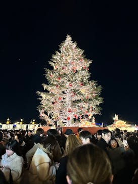 Christmas Market in 横浜赤レンガ倉庫 2025に投稿された画像（2024/12/23）