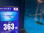 仙台うみの杜水族館に投稿された画像（2024/12/23）