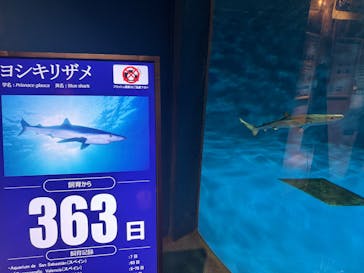 仙台うみの杜水族館に投稿された画像（2024/12/23）