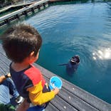 太地町立くじらの博物館に投稿された画像（2024/11/11）