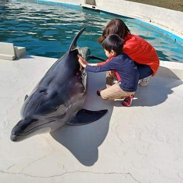 太地町立くじらの博物館に投稿された画像（2024/11/11）