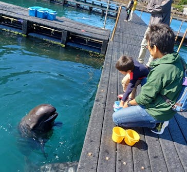 太地町立くじらの博物館に投稿された画像（2024/11/11）