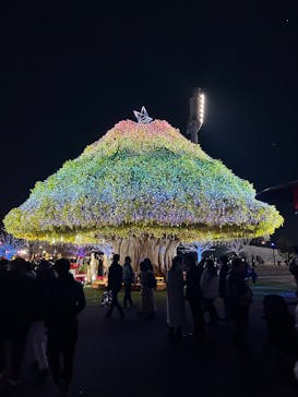 東京メガイルミに投稿された画像（2024/12/23）