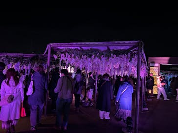 東京メガイルミに投稿された画像（2024/12/23）