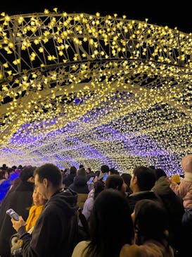 東京メガイルミに投稿された画像（2024/12/23）