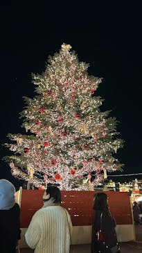 Christmas Market in 横浜赤レンガ倉庫 2025に投稿された画像（2024/12/23）
