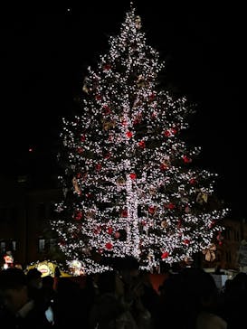 Christmas Market in 横浜赤レンガ倉庫 2025に投稿された画像（2024/12/23）