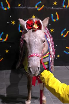 東京メガイルミに投稿された画像（2024/12/23）