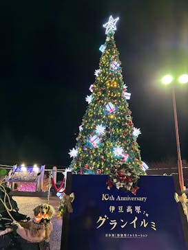 伊豆高原グランイルミに投稿された画像（2024/12/23）