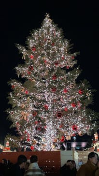 Christmas Market in 横浜赤レンガ倉庫 2025に投稿された画像（2024/12/23）