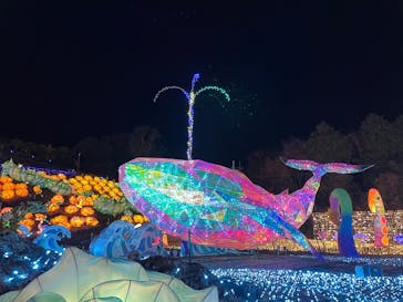 伊豆高原グランイルミに投稿された画像（2024/12/23）