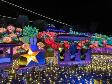 伊豆高原グランイルミに投稿された画像（2024/12/23）