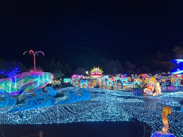 伊豆高原グランイルミに投稿された画像（2024/12/23）