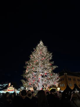Christmas Market in 横浜赤レンガ倉庫 2025に投稿された画像（2024/12/23）