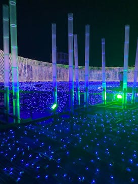 東京メガイルミに投稿された画像（2024/12/22）